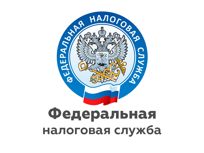 УФНС России по Новгородской области подведены итоги контрольной работы      в 1 полугодии 2024 года.