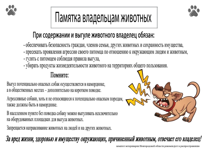 Памятка владельцам животных. Памятка владельцам животных.